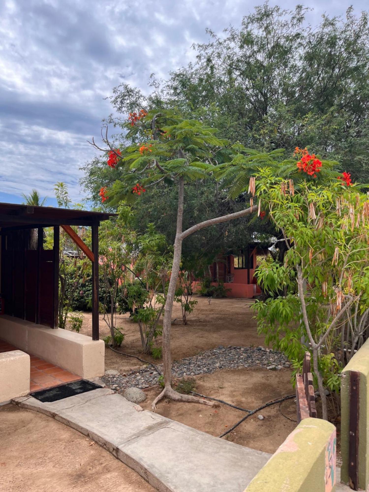 Cabo Pulmo Beach Resort Kültér fotó